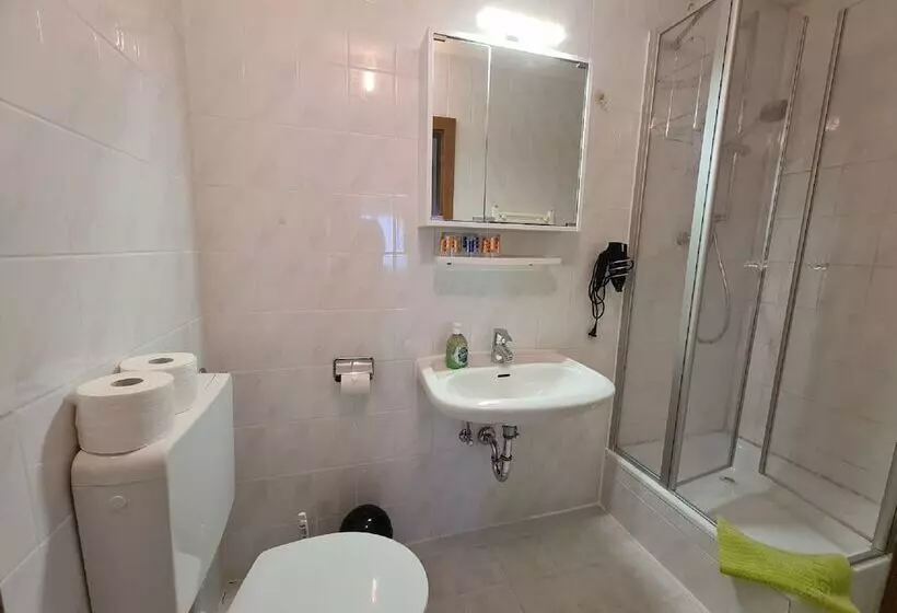 ホテル Verwöhn Pension Wiesengrund