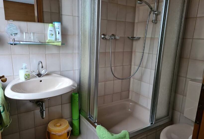 酒店 Verwöhn Pension Wiesengrund