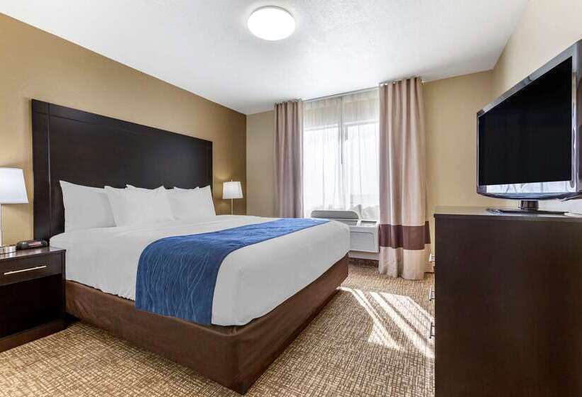 Отель Comfort Inn & Suites Surprise Near Sun City West