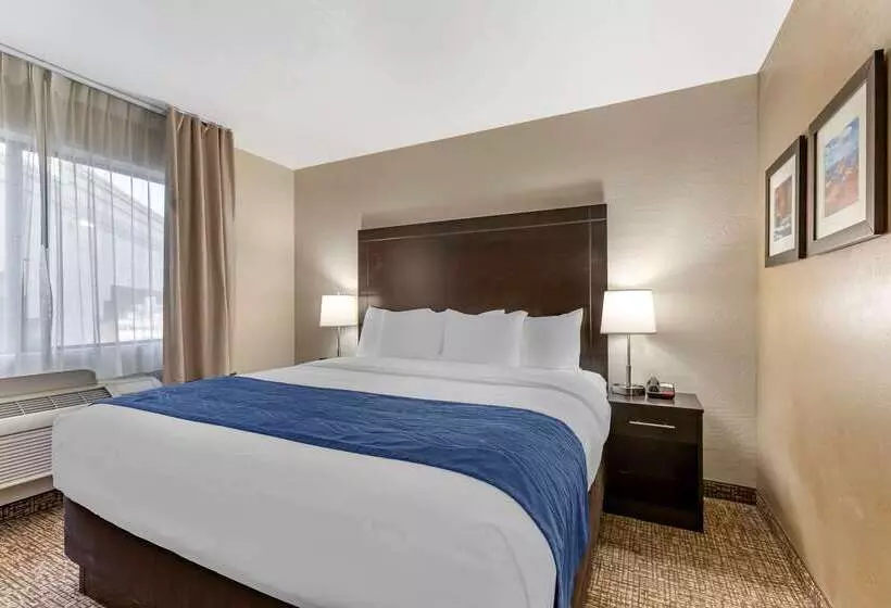 Отель Comfort Inn & Suites Surprise Near Sun City West