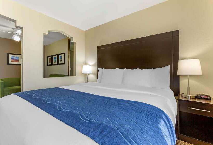 Отель Comfort Inn & Suites Surprise Near Sun City West