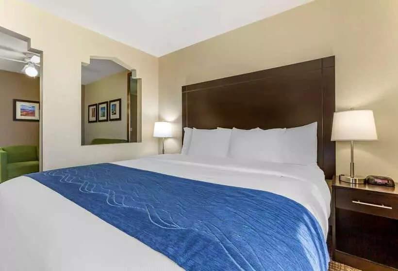 Отель Comfort Inn & Suites Surprise Near Sun City West