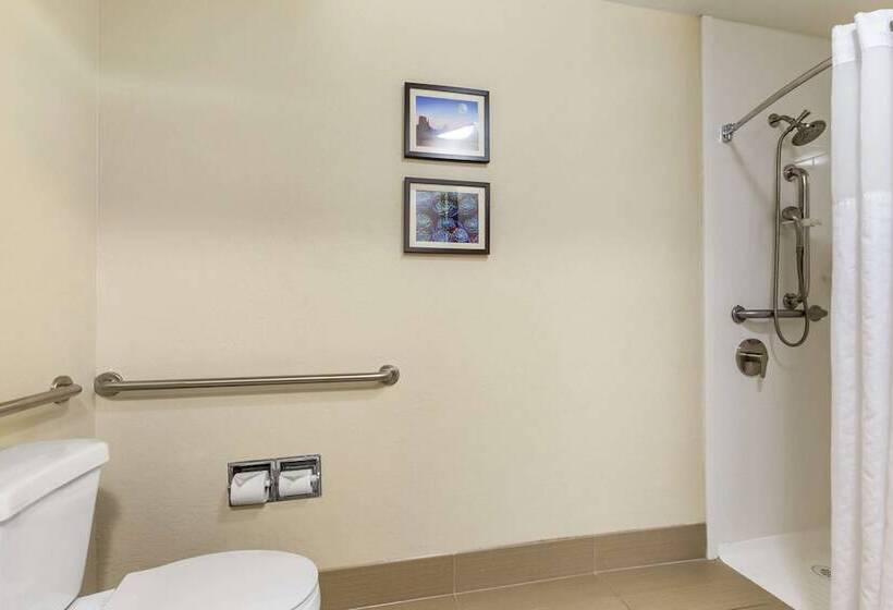 Отель Comfort Inn & Suites Surprise Near Sun City West