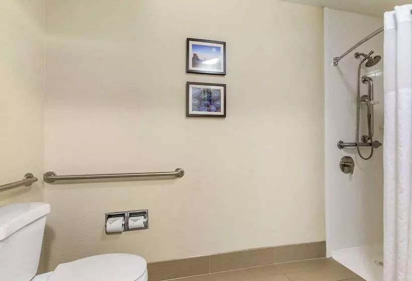 酒店 Comfort Inn & Suites Surprise Near Sun City West