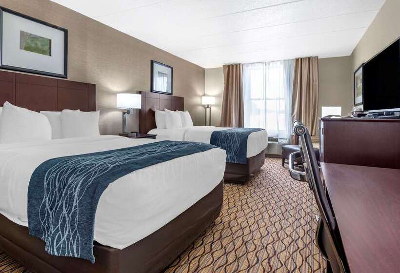 酒店 Comfort Inn & Suites Glen Mills   West Chester