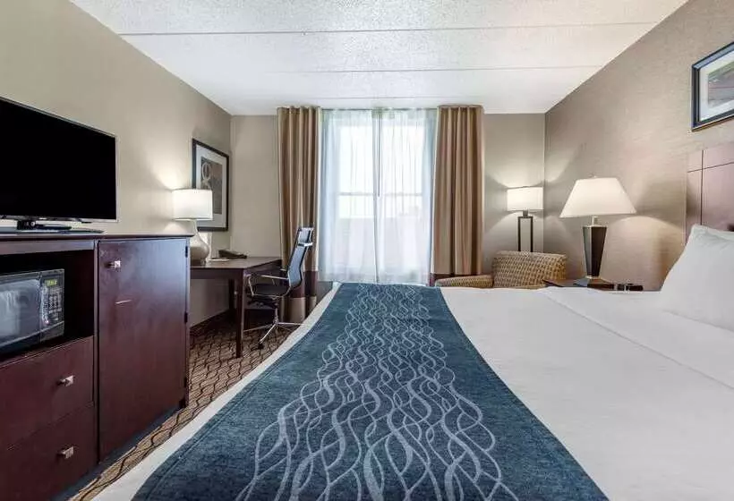 酒店 Comfort Inn & Suites Glen Mills   West Chester