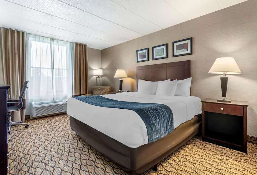 酒店 Comfort Inn & Suites Glen Mills   West Chester