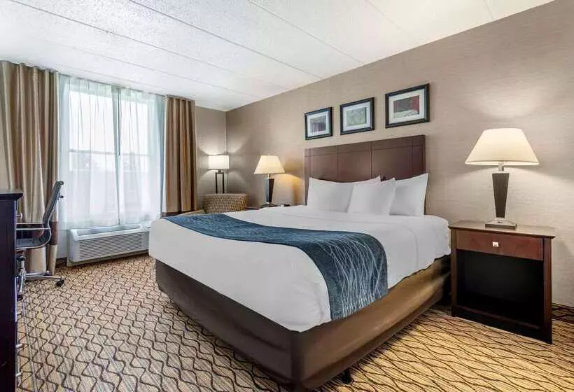 酒店 Comfort Inn & Suites Glen Mills   West Chester