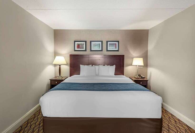 酒店 Comfort Inn & Suites Glen Mills   West Chester