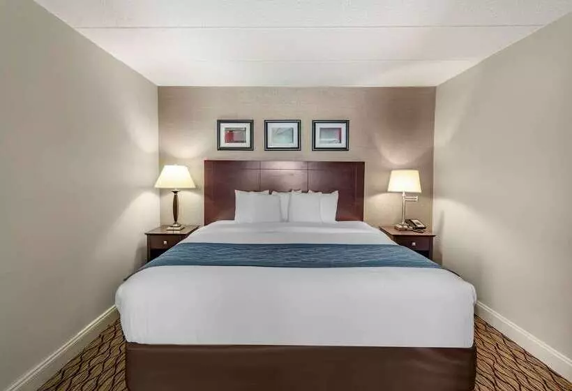 酒店 Comfort Inn & Suites Glen Mills   West Chester