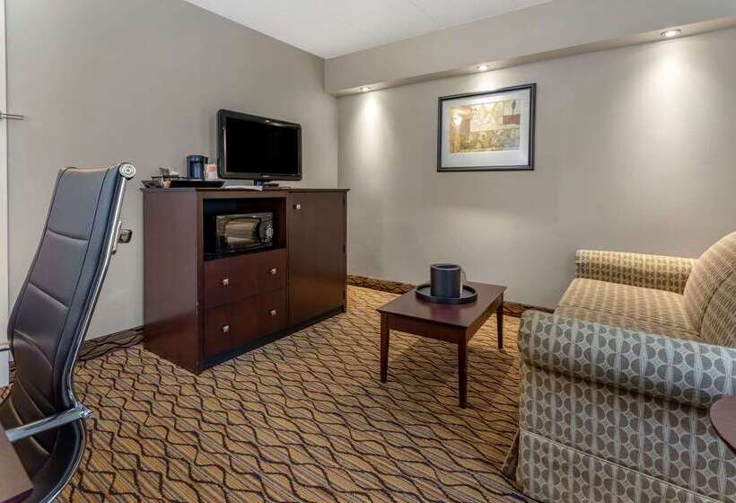 酒店 Comfort Inn & Suites Glen Mills   West Chester