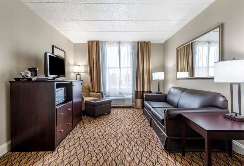酒店 Comfort Inn & Suites Glen Mills   West Chester