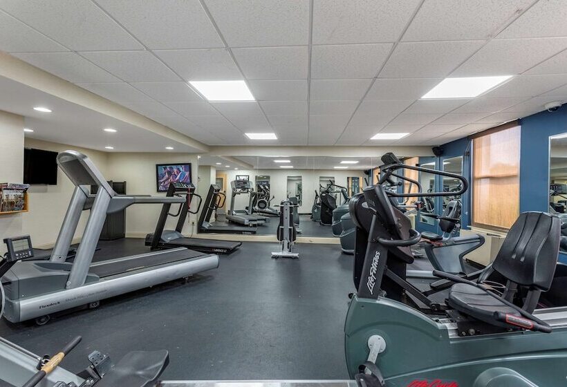 酒店 Comfort Inn & Suites Glen Mills   West Chester