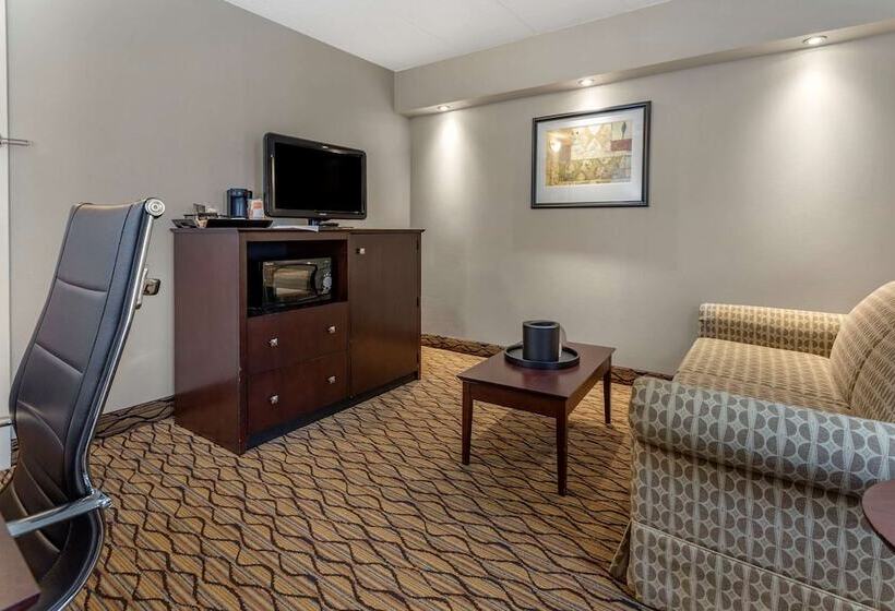 酒店 Comfort Inn & Suites Glen Mills   West Chester