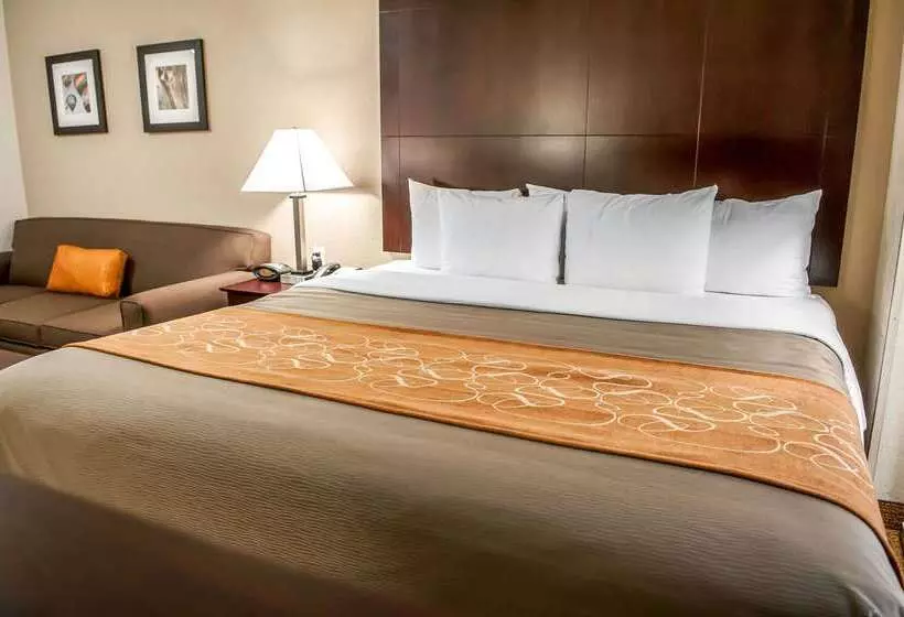 בית מלון כפרי Comfort Suites North Albuquerque Balloon Fiesta Park