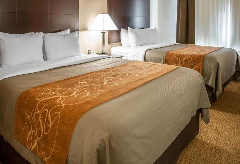 فندق Comfort Suites North Albuquerque Balloon Fiesta Park