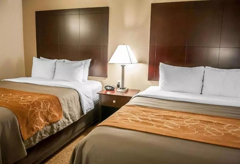 ホテル Comfort Suites North Albuquerque Balloon Fiesta Park