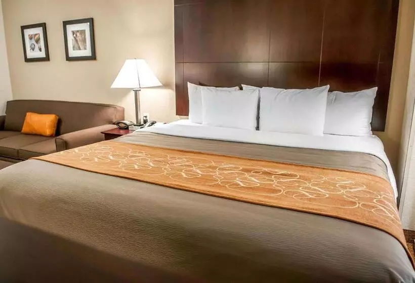 ホテル Comfort Suites North Albuquerque Balloon Fiesta Park