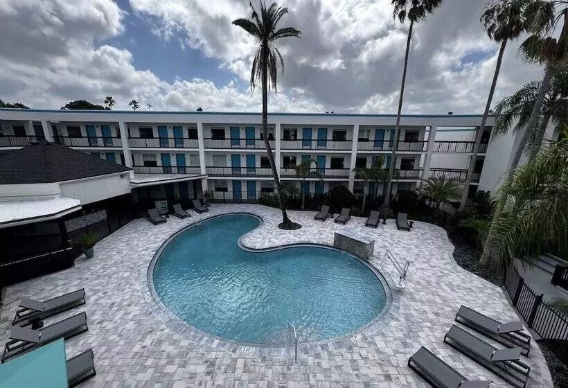 هتل Oasis Bay Suites, Tampa, Busch Gardens, Usf