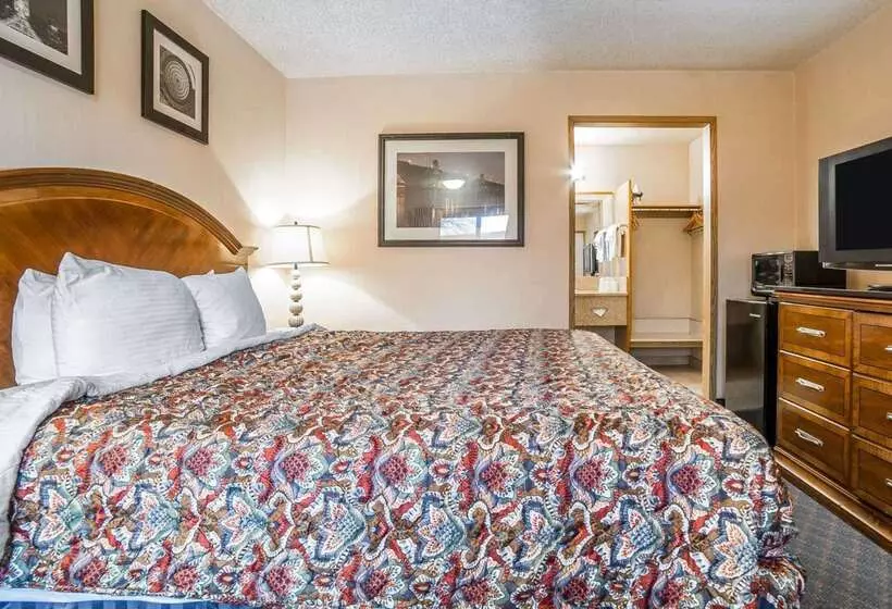 ホテル Rodeway Inn