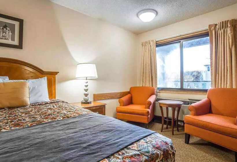 ホテル Rodeway Inn