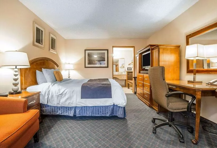 ホテル Rodeway Inn