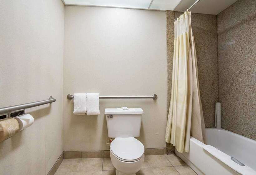 فندق Rodeway Inn