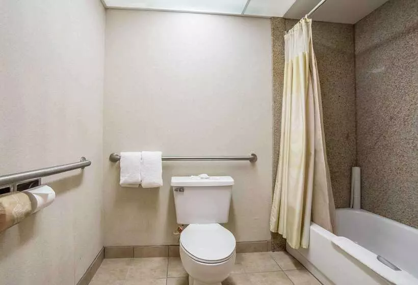 ホテル Rodeway Inn