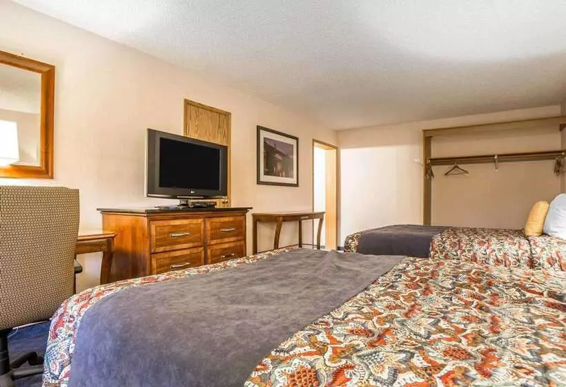 ホテル Rodeway Inn