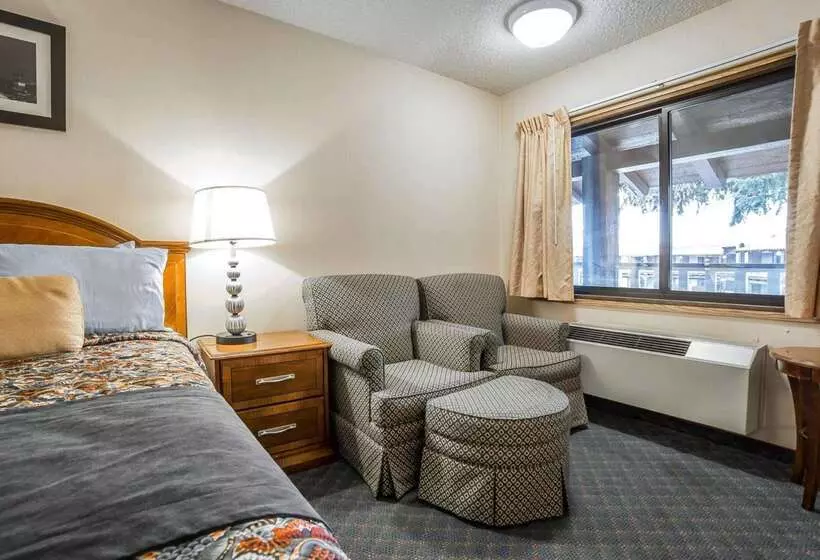 ホテル Rodeway Inn