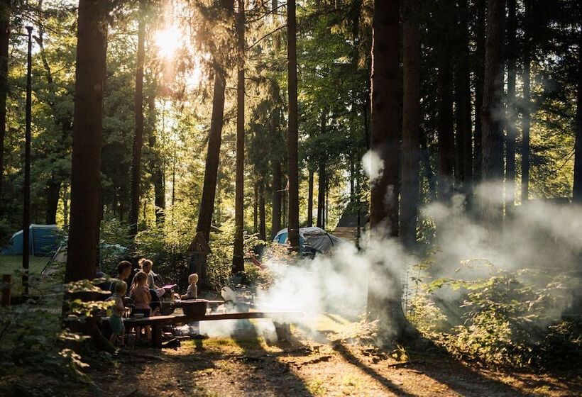 هتل Forest Camping Mozirje