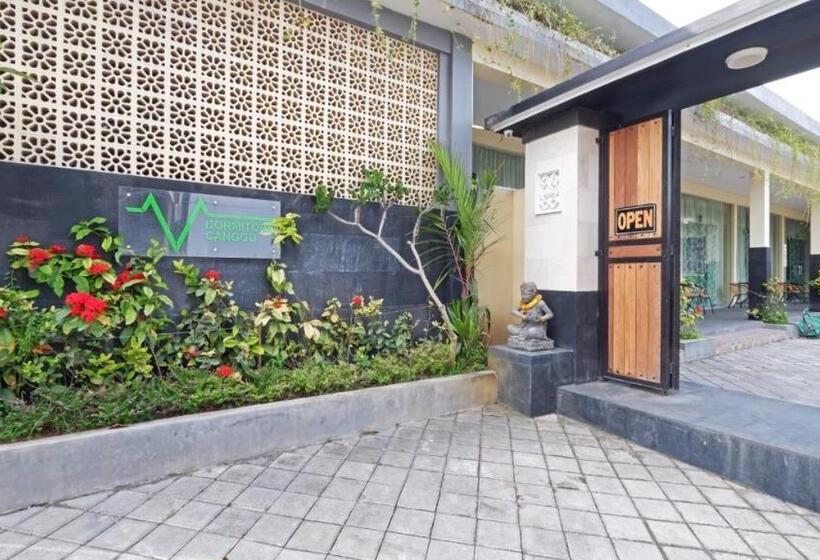 酒店 V Canggu Dormitory