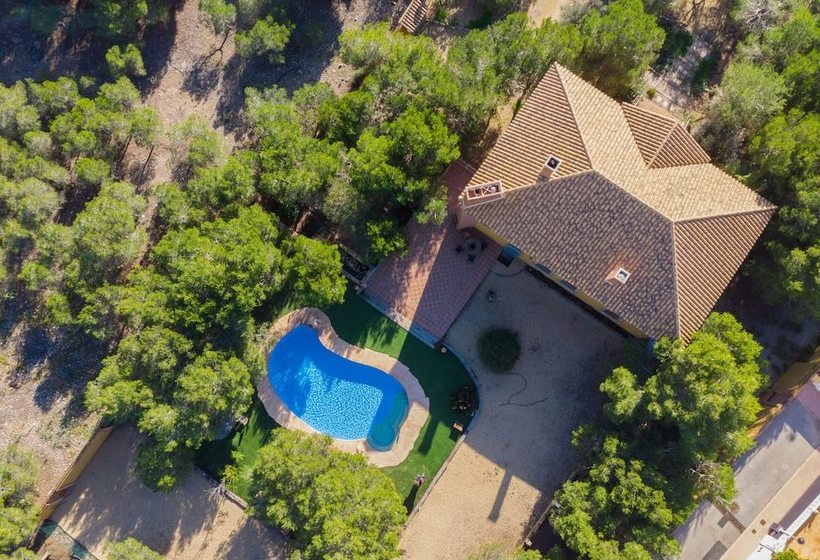 Fidalsa Harry Potter House