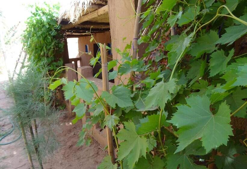 Pensionat Auberge Tigida