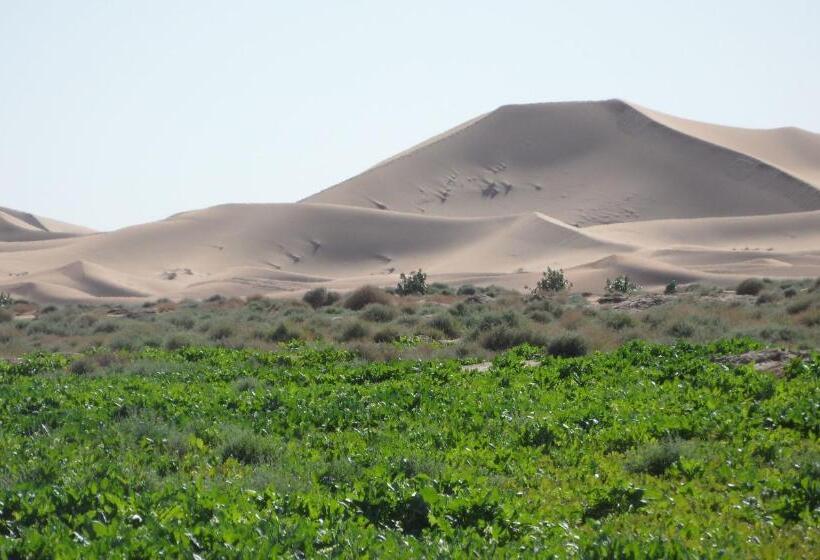 Pensionat Auberge Tigida