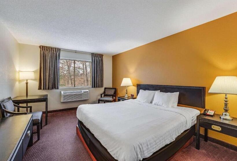Отель Econo Lodge Whitehall Near Michigan S Adventure