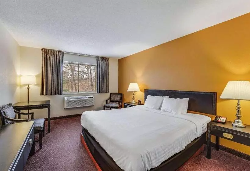 酒店 Econo Lodge Whitehall Near Michigan S Adventure