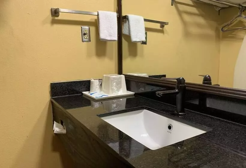 Hotel Jameson Inn Conyers