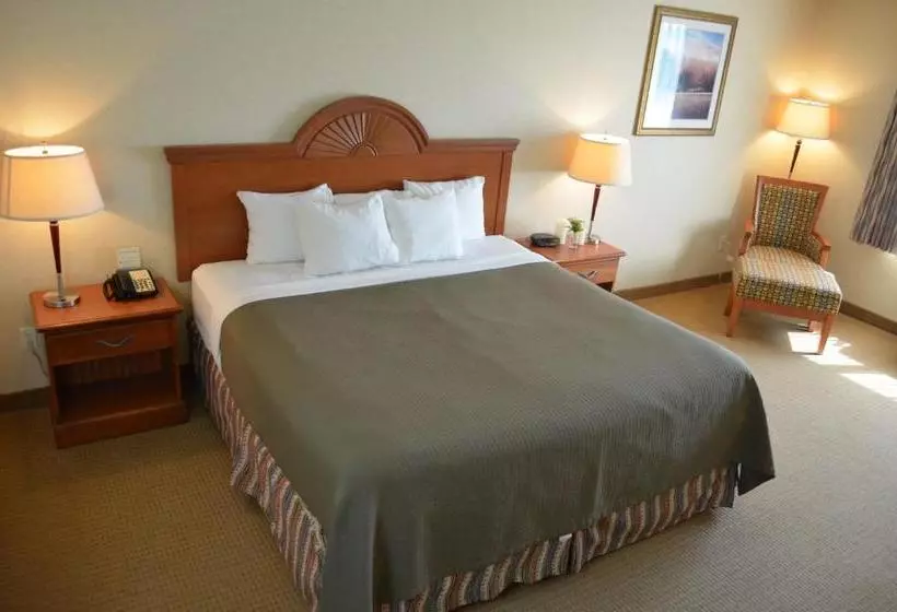 酒店 Red Coach Inn & Suites