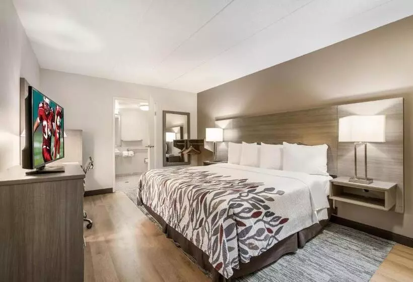 فندق Red Roof Inn Lansing West  Msu