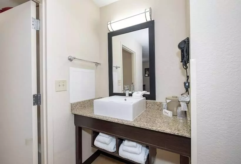 ホテル Red Roof Inn Plus+ Jacksonville – Southpoint