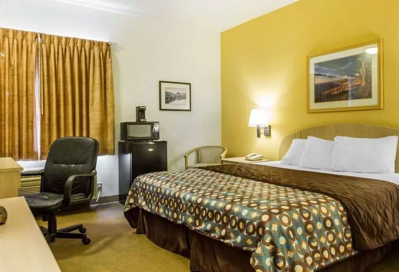 ホテル Rodeway Inn