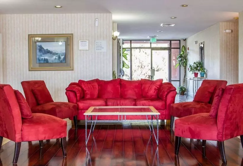 ホテル Rodeway Inn