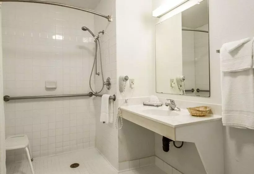 ホテル Rodeway Inn