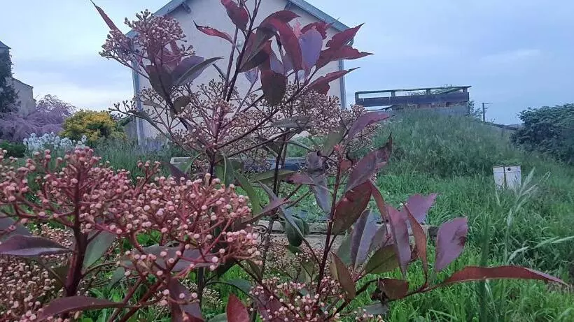 B&b Chambre Chante Cristal