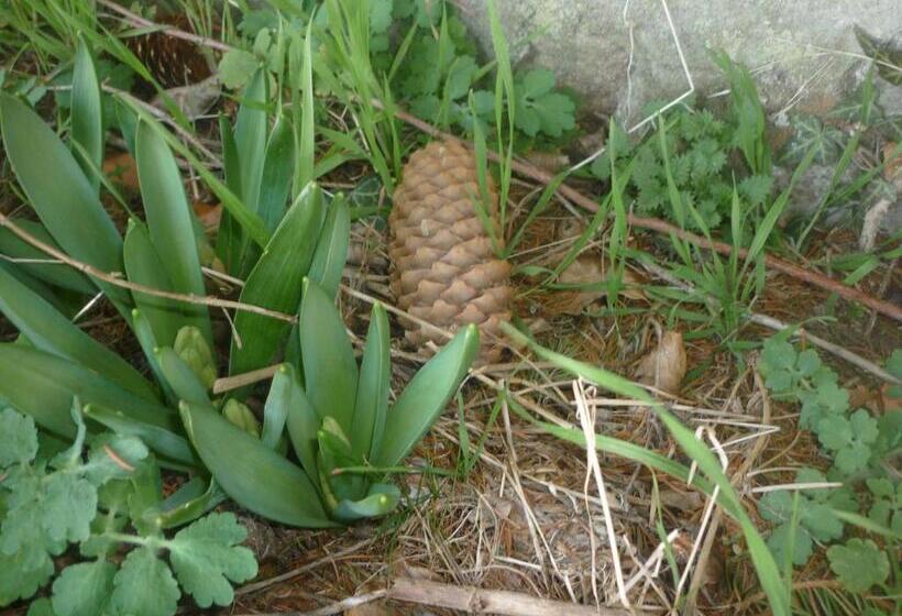 B&b Chambre Chante Cristal