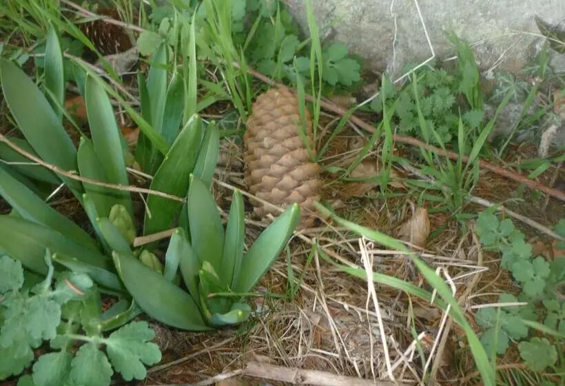 B&b Chambre Chante Cristal