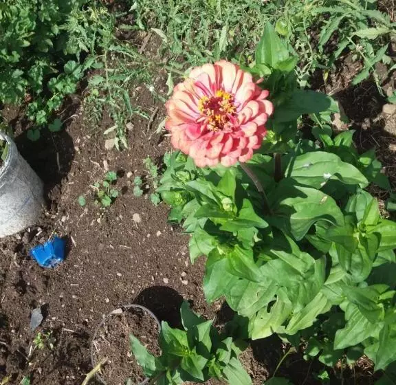 B&b Chambre Chante Cristal