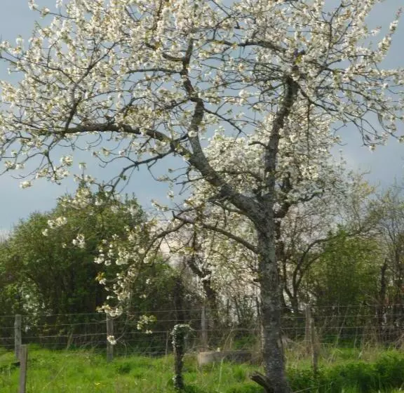 B&b Chambre Chante Cristal
