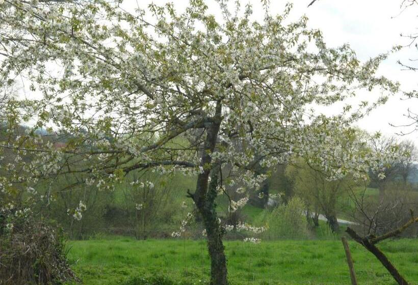 B&b Chambre Chante Cristal